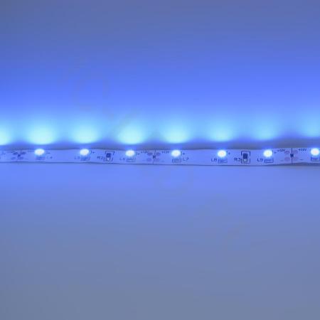 Светодиодная лента Standart PRO class, 3528, 60 led/m, Blue, 12V, IP20 