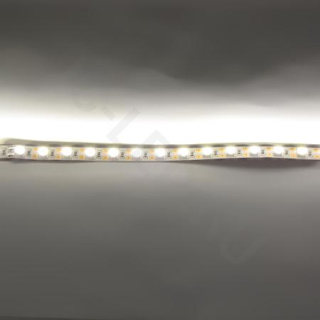 Светодиодная лента  Standart PRO class, 5050, 72led/m, Warm White, 12V, IP20 