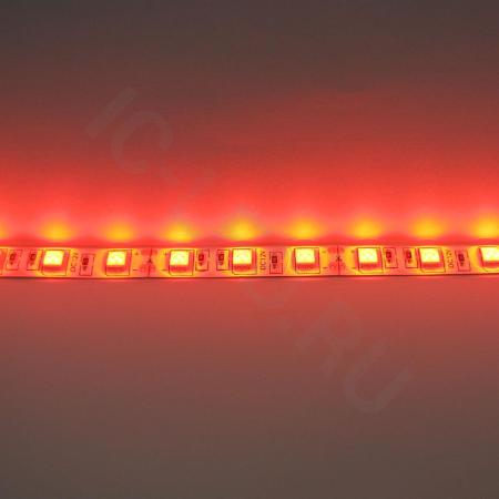Светодиодная лента Standart class, 5050, 60led/m, Red, 12V, IP65 