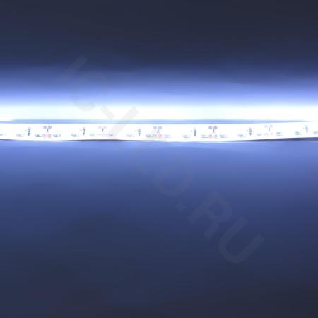 Светодиодная лента Standart class, 3528, 120led/m, White, 12V, IP65 