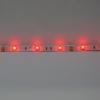 Светодиодная лента Standart class, 5050, 30led/m, RGB, 12V, IP65 