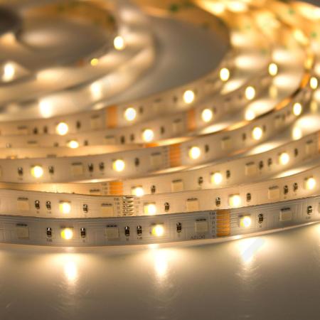 Светодиодная лента Class Premium 3838 72 led/m, RGB+CCT (RGB+white/ warm white), 12V, IP20, А41 