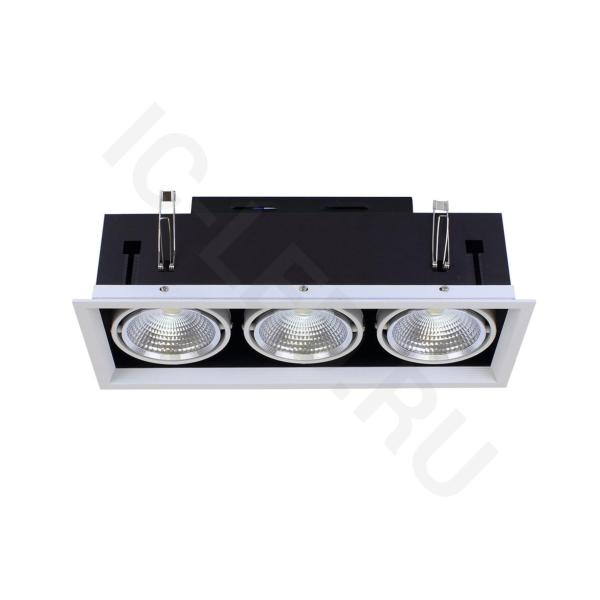 Светодиодный светильник карданный AR90-3 OD3 (220V, 3х20W, white)
