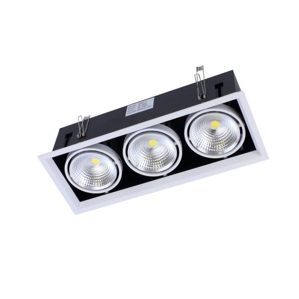 Светодиодный светильник карданный AR90-3 OD3 (220V, 3х20W, white)