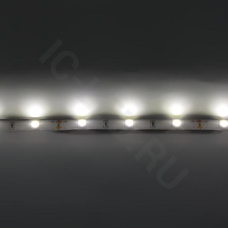 Светодиодная лента Standart PRO class, 5050, 30 led/m, Warm White, 12V, IP20 