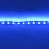 Светодиодная лента  Standart PRO class, 5050, 60led/m, Blue, 12V, IP20 