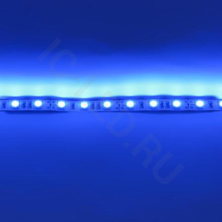 Светодиодная лента  Standart PRO class, 5050, 60led/m, Blue, 12V, IP20 