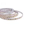 Светодиодная лента Class Premium, 2835 168 led/m, CCT (white/warm white), 24V, IP20, А44
