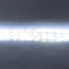 Светодиодная лента Standart PRO class, 5050, 60led/m, White, 12V, IP68 