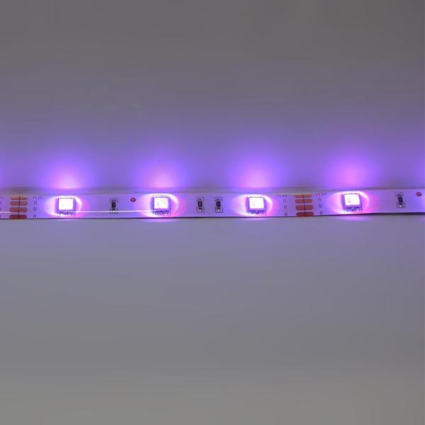 Светодиодная лента Standart class, 5050, 30led/m, RGB, 12V, IP65  Светодиодная лента Standart class, 5050, 30led/m, RGB, 12V, IP65