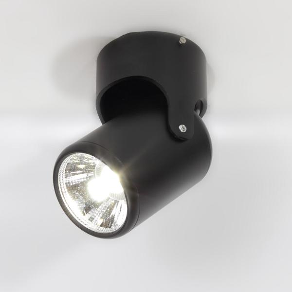 Накладной поворотный светодиодный светильник JH-BTH-05 Black (20W, 220V, White) Накладной поворотный светодиодный светильник JH-BTH-05 Black (20W, 220V, White)
