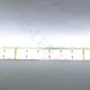 Светодиодная лента Standart PRO class, 5050, 120 led/m, RGBW, 24V, IP65 