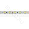 Светодиодная лента Standart class, 5050, 60led/m, Warm White, 12V, IP20 