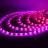 Светодиодная лента 5050, 30 led/m, A32, RGB-SPI, WS2811A controlled, 12V, IP65 