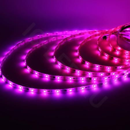 Светодиодная лента 5050, 30 led/m, A32, RGB-SPI, WS2811A controlled, 12V, IP65 