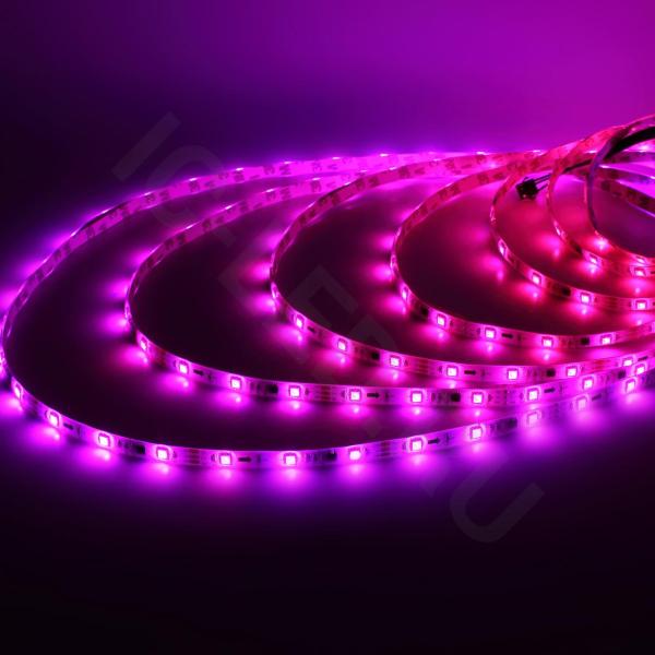 Светодиодная лента 5050, 30 led/m, A32, RGB-SPI, WS2811A controlled, 12V, IP65 