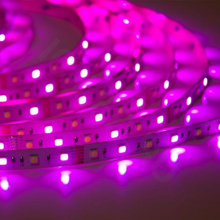 Светодиодная лента Class Premium 3838 72 led/m, RGB+CCT (RGB+white/ warm white), 12V, IP20, А41 