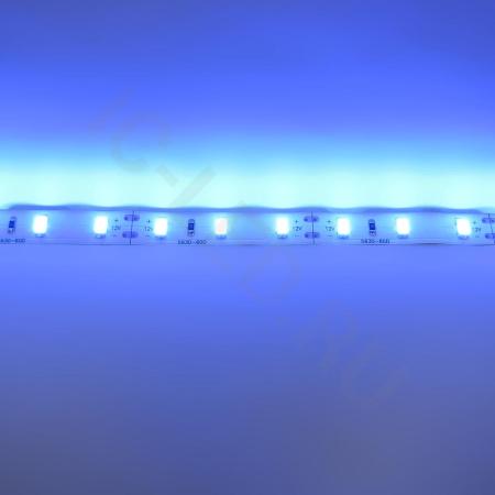 Светодиодная лента  Standart PRO class, 5630, 60led/m, Blue,12V, IP20 