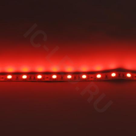 Светодиодная лента  Standart PRO class, 5050, 60led/m, Red, 12V, IP20 