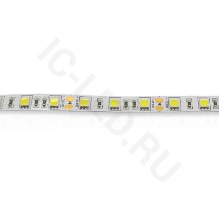 Светодиодная лента  Standart PRO class, 5050, 60led/m, day white, 12V, B150, IP20 