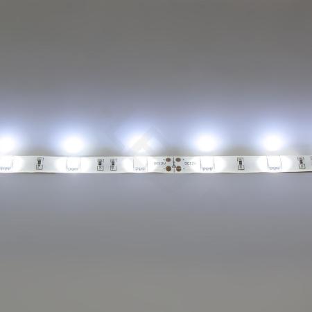 Светодиодная лента Standart PRO class, 5050, 30 led/m, White, 12V, IP65 