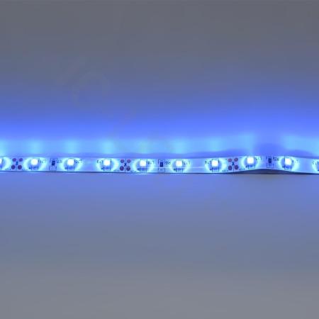 Светодиодная лента Standart PRO class, 3528, 60 led/m, Blue, 12V, IP65 