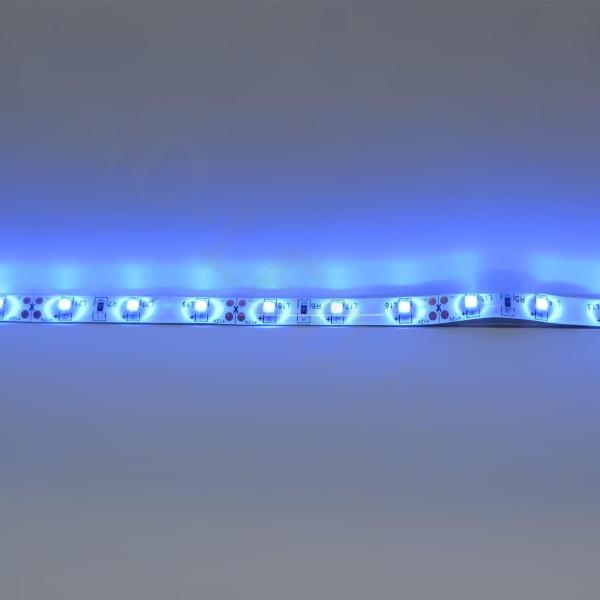 Светодиодная лента Standart PRO class, 3528, 60 led/m, Blue, 12V, IP65 