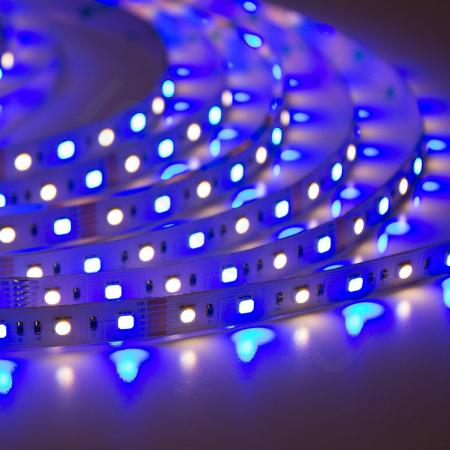 Светодиодная лента Class Premium 3838 72 led/m, RGB+CCT (RGB+white/ warm white), 12V, IP20, А41 