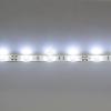 Светодиодная лента Standart PRO class, 5050, 30 led/m, White, 12V, IP65 