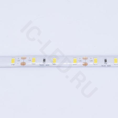Светодиодная лента LUX class, 5630, 60led/m, Cool White, 12V, IP65 