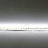 Светодиодная лента Standart class 3528, 120 led/m, Day White, 24V, IP20, G159 