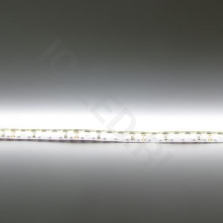 Светодиодная лента Standart class 3528, 120 led/m, Day White, 24V, IP20, G159 