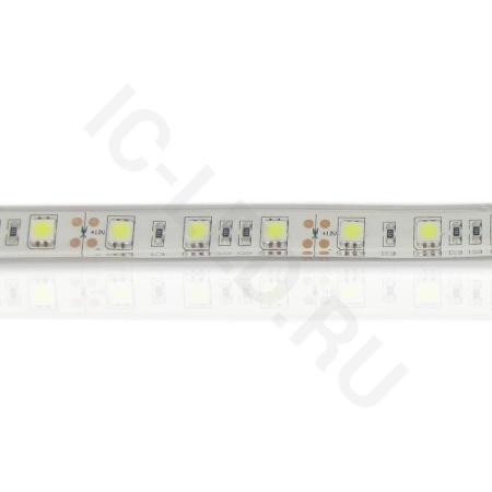 Светодиодная лента Standart PRO class, 5050, 60led/m, White, 12V, IP68 