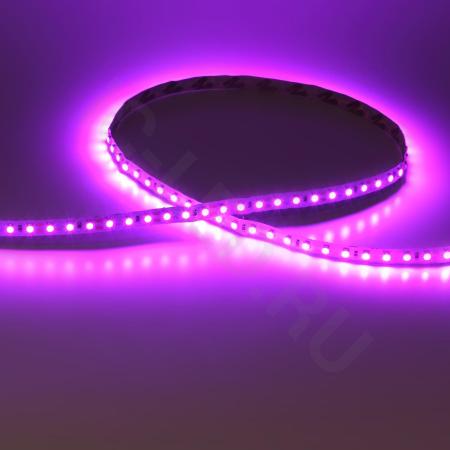 Светодиодная лента Standart PRO class, 3528, 120 led/m, Pink,12V, IP20, C100 