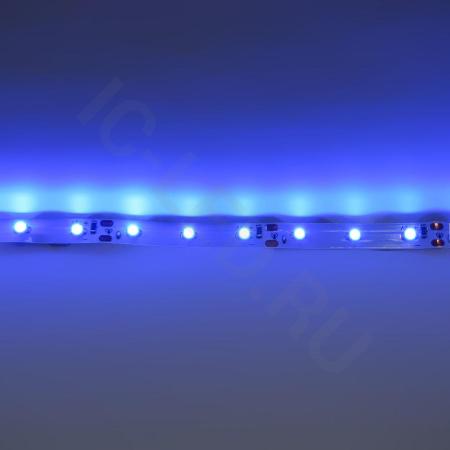Светодиодная лента Standart class, 3528, 60led/m, Blue, 12V, IP20