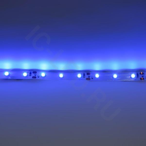 Светодиодная лента Standart class, 3528, 60led/m, Blue, 12V, IP20