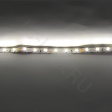 Светодиодная лента LUX class , 3528, 60 led/m, Warm White,12V, D18, IP20
