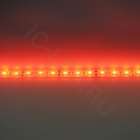 Светодиодная лента Standart PRO class, 5050, 60led/m, Red, 12V, IP68 