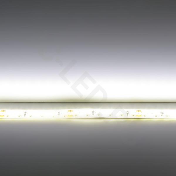 Светодиодная лента Standart PRO class, 3528, 120 led/m, Warm White, 24V, IP65 