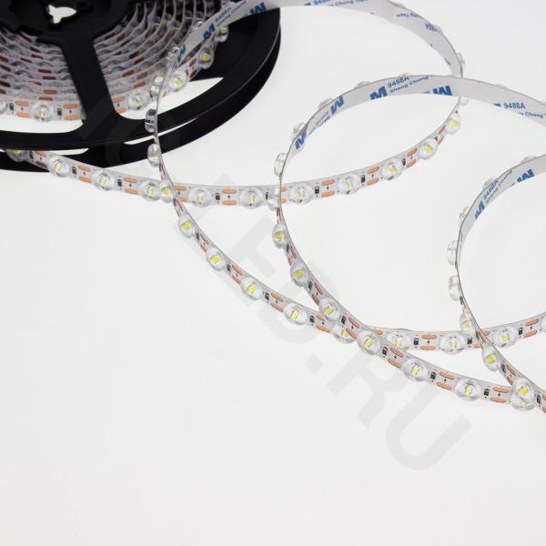 =this.Name}  =this.Name}