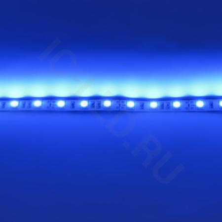 Светодиодная лента  Standart PRO class, 5050, 60led/m, Blue, 12V, IP20 