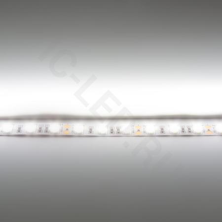 Светодиодная лента  Standart PRO class, 5050, 60led/m, day white, 12V, B150, IP20 
