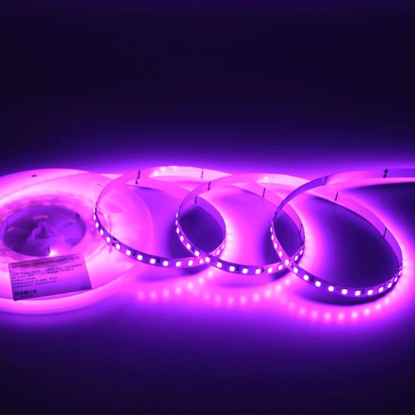 Светодиодная лента Standart Pro class, 2835, 120 led/m, 8mm, без скотча, violet, 24V, IP20, SL20 Светодиодная лента Standart Pro class, 2835, 120 led/m, 8mm, без скотча, violet, 24V, IP20, SL20