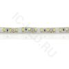 Светодиодная лента Standart PRO class, 3528, 120 led/m, Warm White, 12V, IP65 