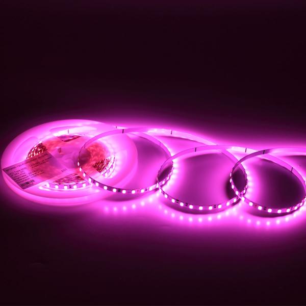 Светодиодная лента Standart Pro class, 2835, 120 led/m, 5mm, без скотча, pink, 24V, IP20, SL12 Светодиодная лента Standart Pro class, 2835, 120 led/m, 5mm, без скотча, pink, 24V, IP20, SL12