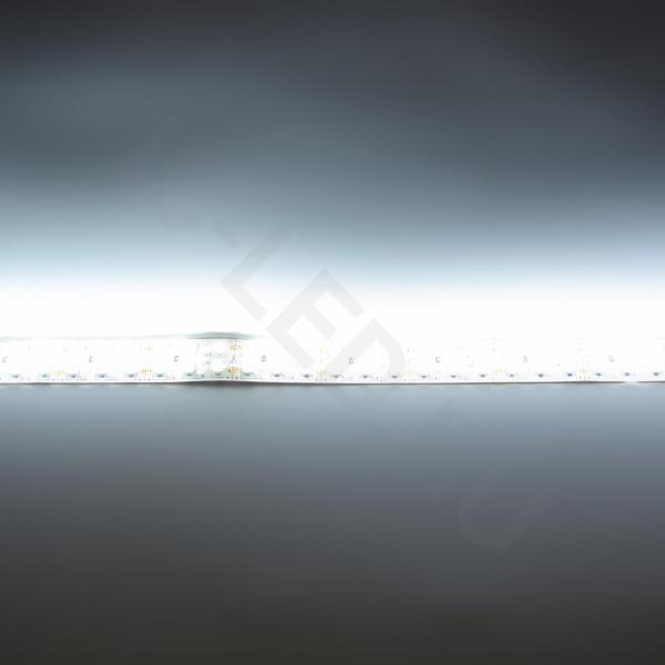 Светодиодная лента LUX class, 3528, 240 led/m, white, 24V, nano IP54 V241 