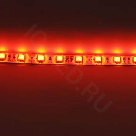 Светодиодная лента Standart PRO class, 5050, 60led/m, Red, 12V, IP65 