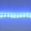 Светодиодная лента Standart PRO class, 5050, 60led/m, Blue, 12V, IP68 