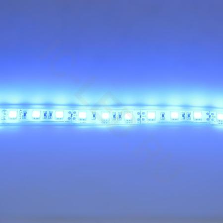 Светодиодная лента Standart PRO class, 5050, 60led/m, Blue, 12V, IP68 