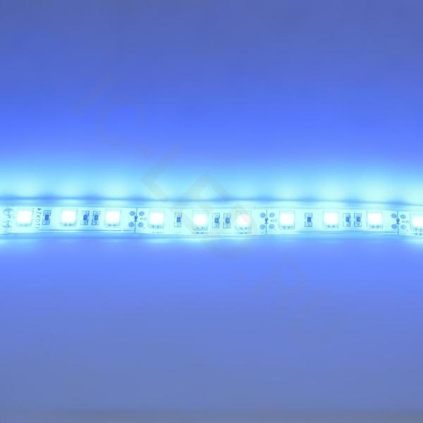 Светодиодная лента Standart PRO class, 5050, 60led/m, Blue, 12V, IP68 
